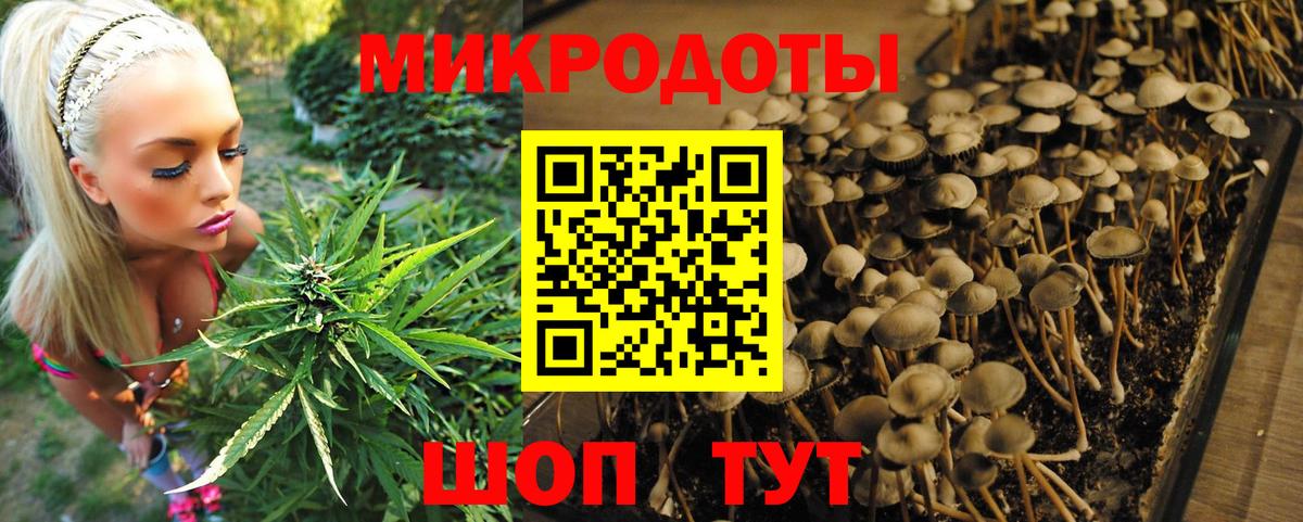 Шали  Галлюциногенные грибы Psilocybine cubensis  Вход с VPN 