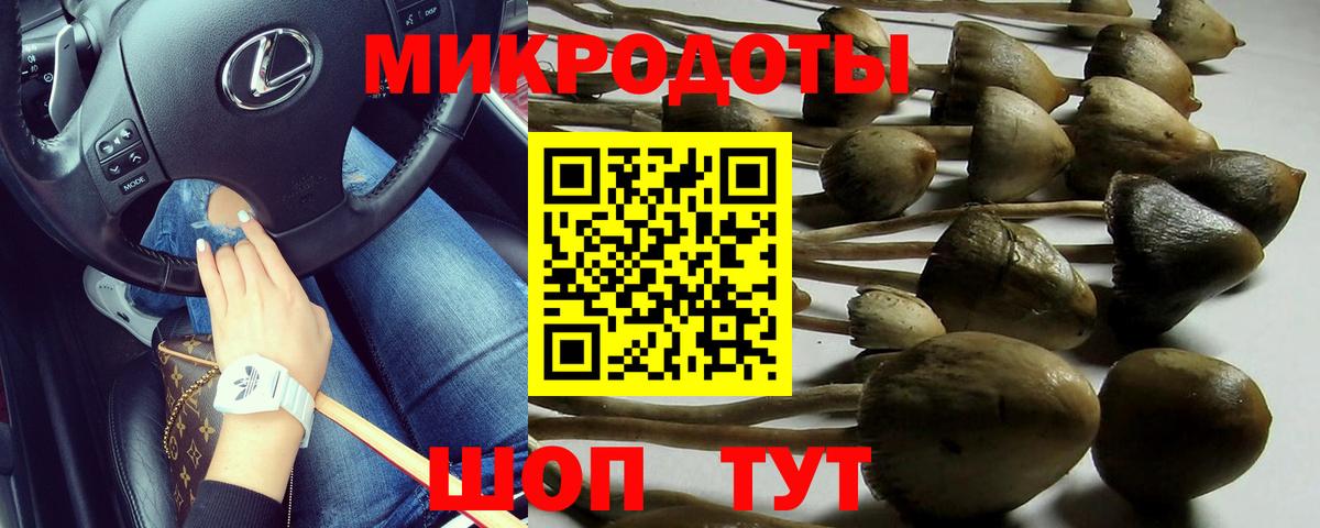 Галлюциногенные грибы мицелий Шали